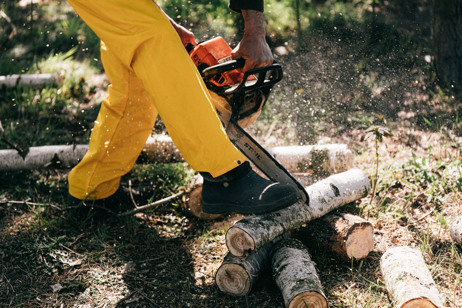 Hedge Work – Temple